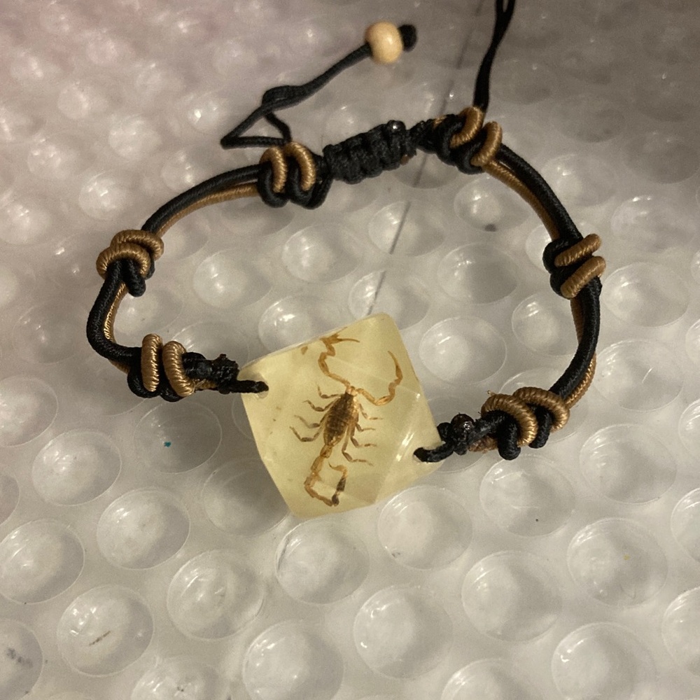 Scorpion Resin Bracelet with Adjustable Cord